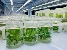 best biotech training center in chennai