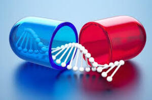 Biotech project institute chennai